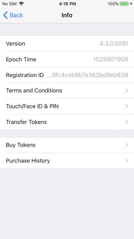 token中文